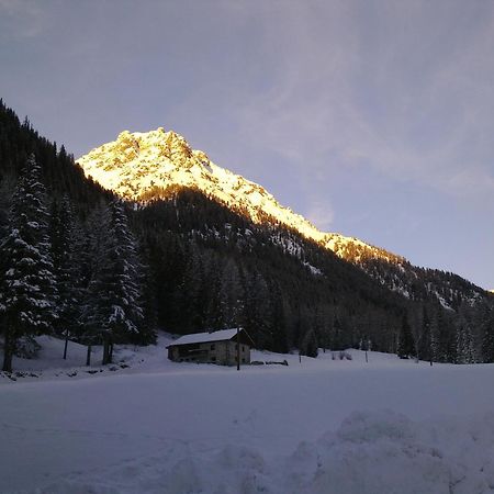 Hotel Bucaneve Moena Buitenkant foto